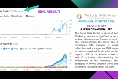 Organic Traffic using SEO Services